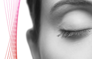motionDesign4